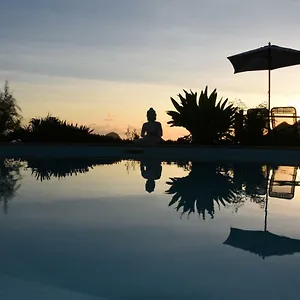 Ti Coin De Paradis Frangipanier Appartement